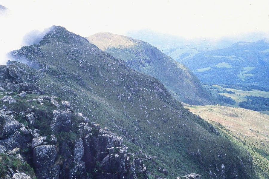 Nyanga